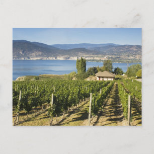 NA; Canada; Brits-Columbia; Okanagan-vallei; Briefkaart