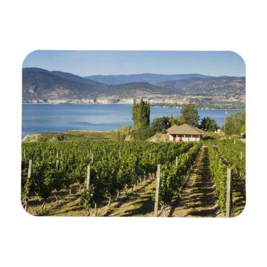 NA; Canada; Brits-Columbia; Okanagan-vallei; Magneet (Horizontaal)