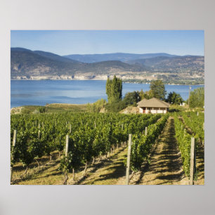 NA; Canada; Brits-Columbia; Okanagan-vallei; Poster