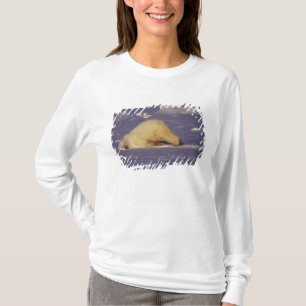NA, Canada, Manitoba, Churchill, IJsbeer T-shirt