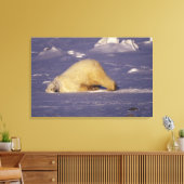 NA, Canada, Manitoba, Churchill, Polair beer Canvas Afdruk (Insitu (Woonkamer))