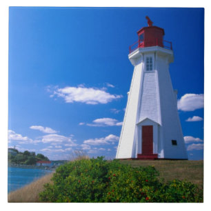 NA, Canada, New Brunswick, Campobello Island. 2 Tegeltje
