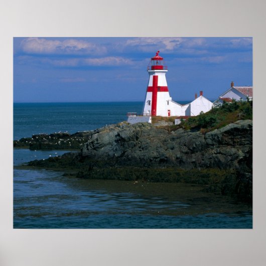 NA, Canada, New Brunswick, Campobello Island. 4 Poster (Voorkant)