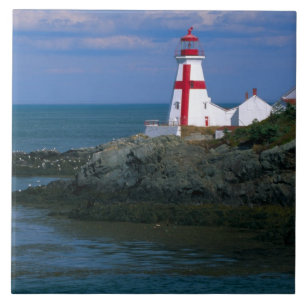 NA, Canada, New Brunswick, Campobello Island. 4 Tegeltje