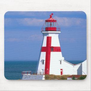 NA, Canada, New Brunswick, Campobello Island. 7 Muismat