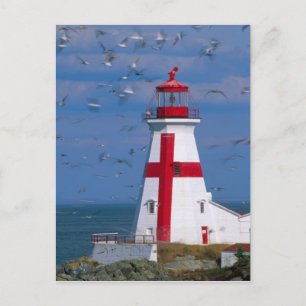 NA, Canada, New Brunswick, Campobello Island. 8 Briefkaart