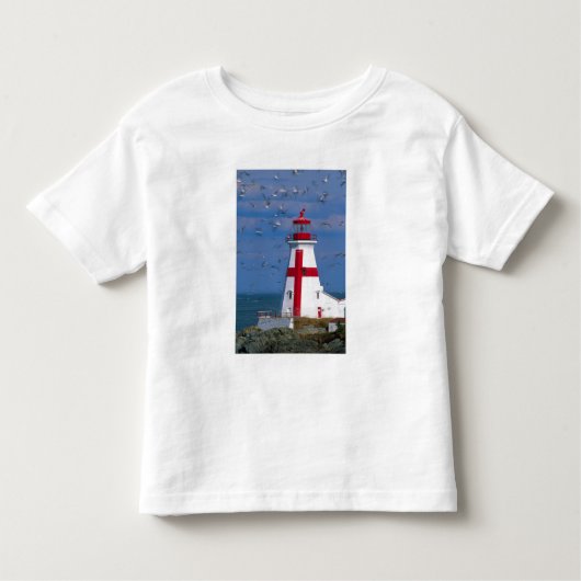 NA, Canada, New Brunswick, Campobello Island. 8 Kinder Shirts (Voorkant)