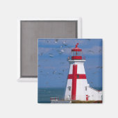 NA, Canada, New Brunswick, Campobello Island. 8 Magneet (Voorkant / Achterkant)
