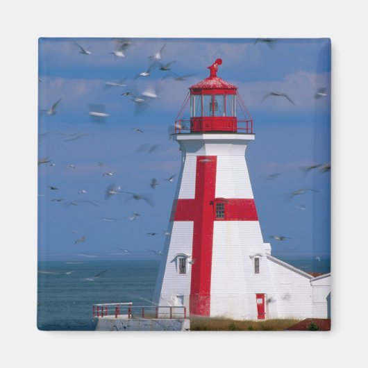 NA, Canada, New Brunswick, Campobello Island. 8 Magneet (Voorkant)