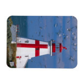 NA, Canada, New Brunswick, Campobello Island. 8 Magneet (Horizontaal)