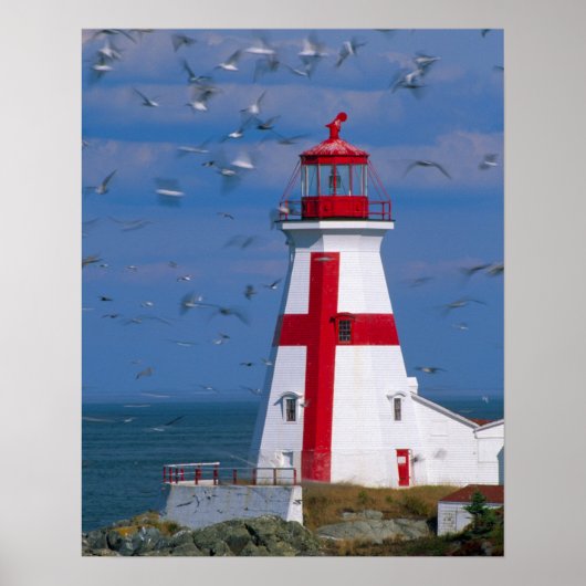 NA, Canada, New Brunswick, Campobello Island. 8 Poster (Voorkant)