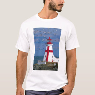 NA, Canada, New Brunswick, Campobello Island. 8 T-shirt