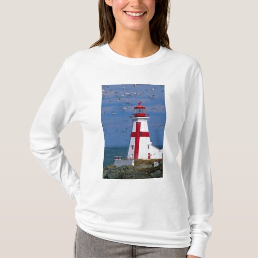NA, Canada, New Brunswick, Campobello Island. 8 T-shirt (Voorkant)