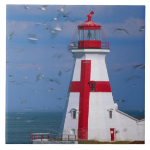 NA, Canada, New Brunswick, Campobello Island. 8 Tegeltje