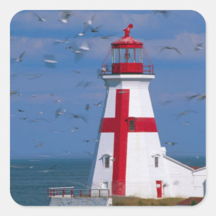 NA, Canada, New Brunswick, Campobello Island. 8 Vierkante Sticker