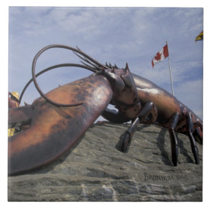NA, Canada, New Brunswick, Shediak, Werelds Tegeltje