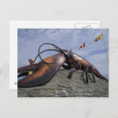 NA, Canada, New Brunswick, Shediak, World's Briefkaart (Voorkant / Achterkant)