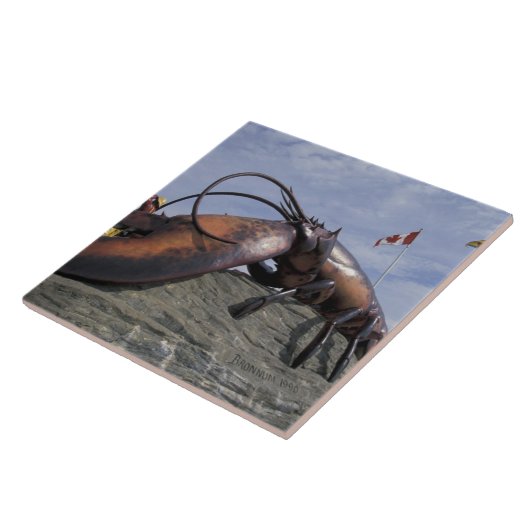 NA, Canada, New Brunswick, Shediak, World's Tegeltje (Zijkant)