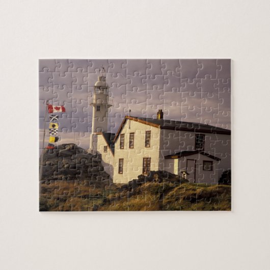 NA, Canada, Newfoundland, Lobster Cove. Kreeft Legpuzzel (Horizontaal)