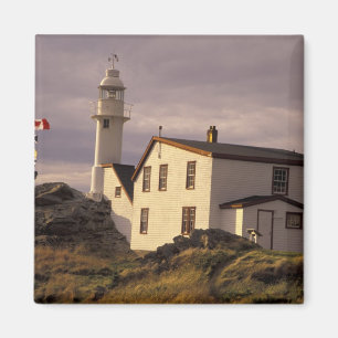 NA, Canada, Newfoundland, Lobster Cove. Kreeft Magneet