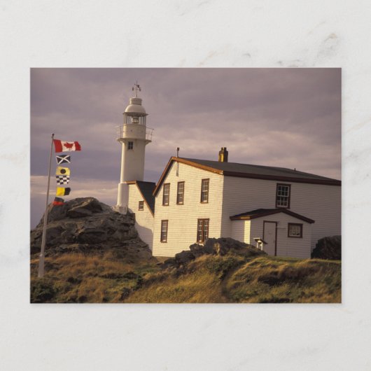 NA, Canada, Newfoundland, Lobster Cove. Lobster Briefkaart (Voorkant)
