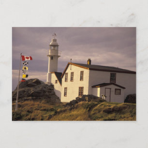 NA, Canada, Newfoundland, Lobster Cove. Lobster Briefkaart