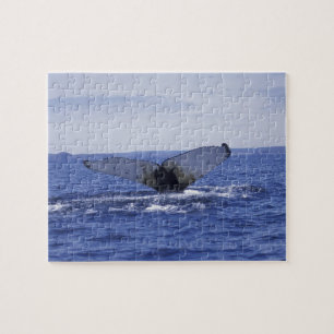 NA, Canada, Newfoundland, Trinity Bay. Bultrug Legpuzzel