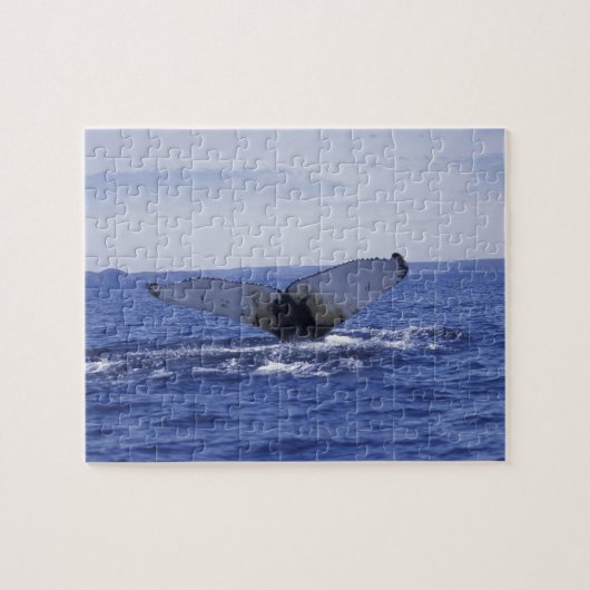 NA, Canada, Newfoundland, Trinity Bay. Bultrug Legpuzzel (Horizontaal)