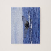 NA, Canada, Newfoundland, Trinity Bay. Bultrug Legpuzzel (Verticaal)