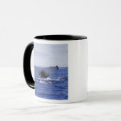 NA, Canada, Newfoundland, Trinity Bay. Bultrug Mok (Voorkant links)