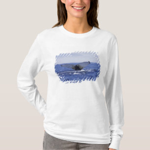 NA, Canada, Newfoundland, Trinity Bay. Humpback T-shirt