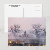Na de brand in Prairie, Flint Hills, Kansas Briefkaart (Voorkant / Achterkant)