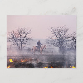 Na de brand in Prairie, Flint Hills, Kansas Briefkaart