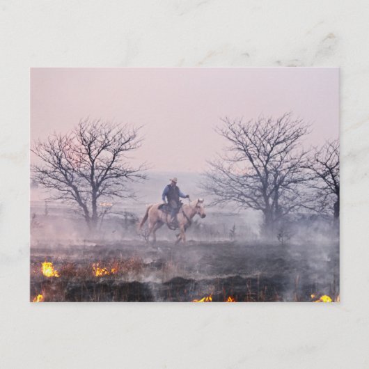 Na de brand in Prairie, Flint Hills, Kansas Briefkaart (Voorkant)