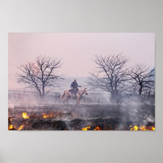 Na de brand in Prairie, Flint Hills, Kansas Poster (Voorkant)