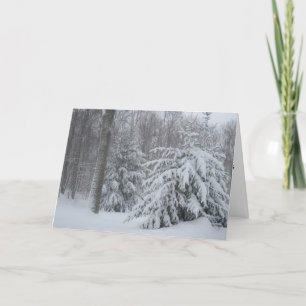 Na de Kerstkaart van het Storm Feestdagen Kaart