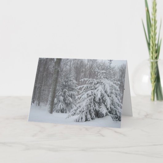 Na de Kerstkaart van het Storm Feestdagen Kaart (Voorkant)