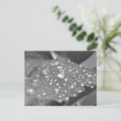 Na de regen briefkaart (Staand voorkant)