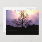 Na de regen briefkaart (Voorkant / Achterkant)