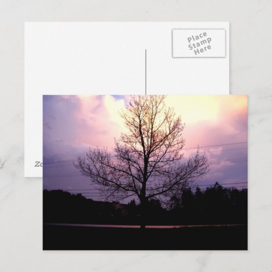 Na de regen briefkaart (Voorkant / Achterkant)