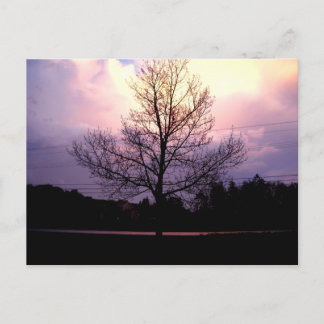 Na de regen briefkaart