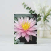 Na de regen briefkaart (Staand voorkant)