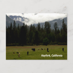 Na de regen..... briefkaart