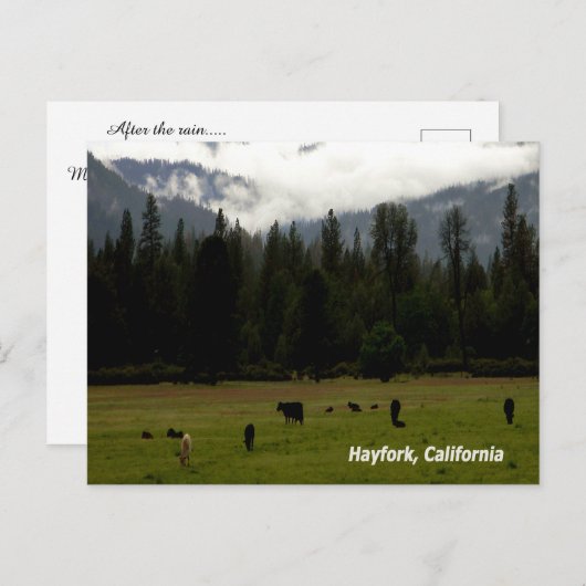 Na de regen..... briefkaart (Voorkant / Achterkant)