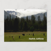 Na de regen..... briefkaart (Voorkant)