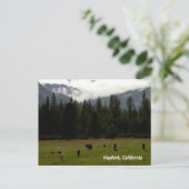 Na de regen..... briefkaart (Staand voorkant)