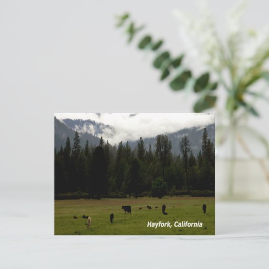 Na de regen..... briefkaart (Staand voorkant)