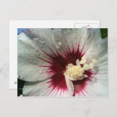 Na de regen briefkaart (Voorkant / Achterkant)