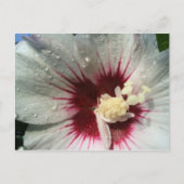 Na de regen briefkaart (Voorkant)