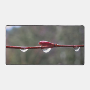 Na de regen bureaumat